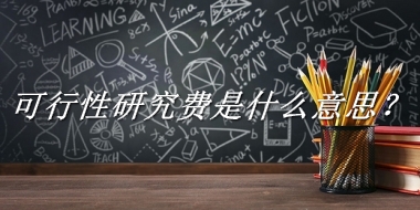 可行性研究费来源于哪里？有什么含义吗？-老茶馆万事