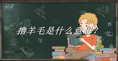 撸羊毛来源于哪里？有什么含义吗？-老茶馆万事