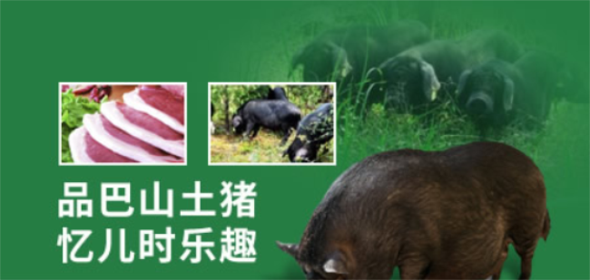 巴山土猪品牌图片