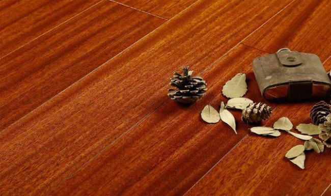 春满堂品牌图片
