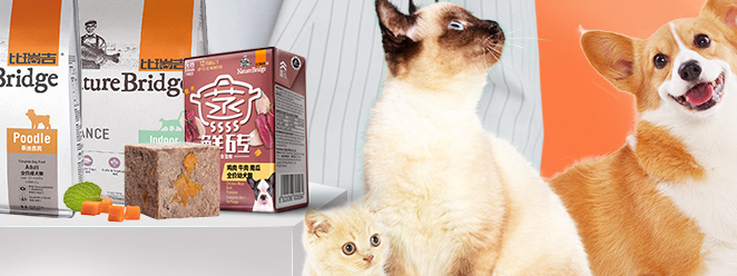 BRIDGE比瑞吉品牌图片