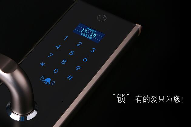 德犬品牌图片