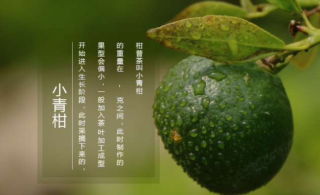 柑普人家品牌图片