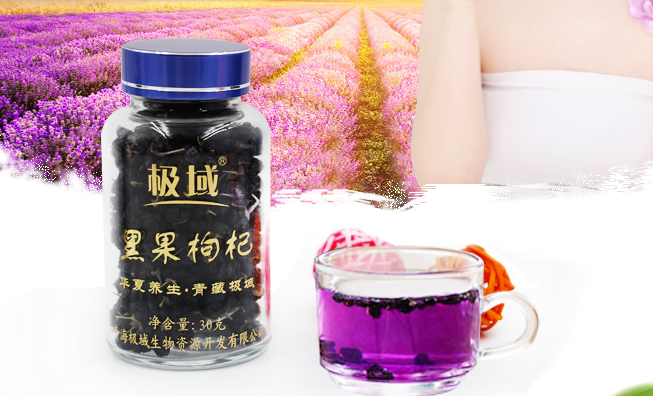 极域品牌图片