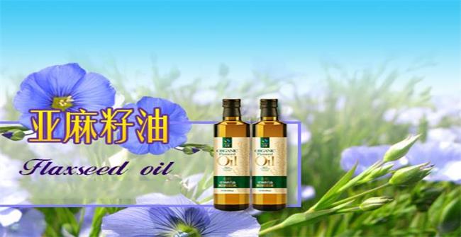 圣基品牌图片