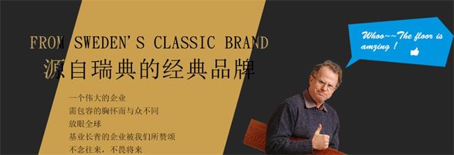 世和地板品牌图片