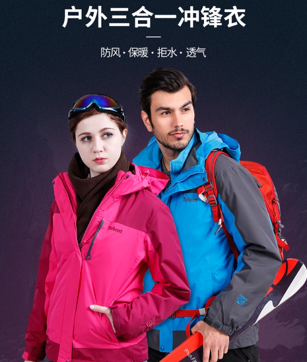 天伦天telent品牌图片