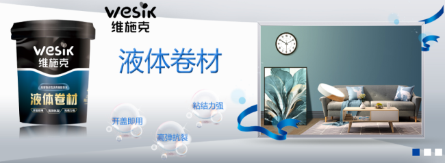 维施克品牌图片