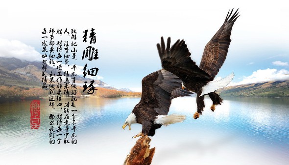 鹰格兰地板品牌图片