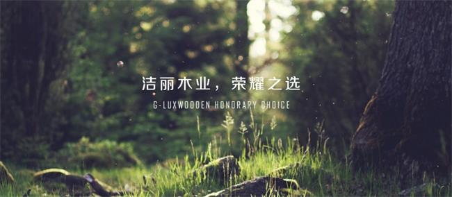 G-LUX洁丽品牌图片