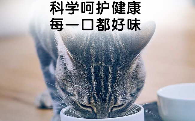 Hill`s希尔思品牌图片