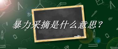 暴力采摘来源于哪里？有什么含义吗？-老茶馆万事