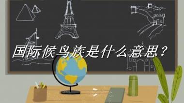 国际候鸟族来源于哪里？有什么含义吗？-老茶馆万事