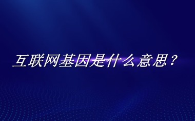 互联网基因来源于哪里？有什么含义吗？-老茶馆万事