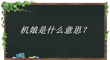 机娘来源于哪里？有什么含义吗？-老茶馆万事