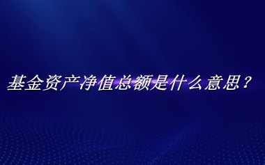 基金资产净值总额是什么梗_来源/含义/常用方式-老茶馆万事