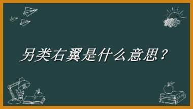 另类右翼来源于哪里？有什么含义吗？-我的学习汇总