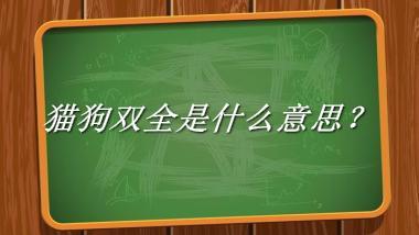 猫狗双全来源于哪里？有什么含义吗？-老茶馆万事