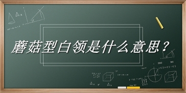 蘑菇型白领来源于哪里？有什么含义吗？-老茶馆万事