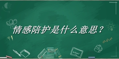 情感陪护来源于哪里？有什么含义吗？-老茶馆万事