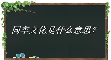 同车文化是什么梗_来源/含义/常用方式-老茶馆万事