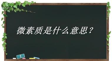 微素质来源于哪里？有什么含义吗？-老茶馆万事