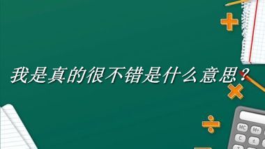 我是真的很不错是什么梗_来源/含义/常用方式-老茶馆万事