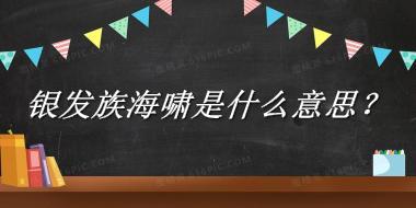 银发族海啸来源于哪里？有什么含义吗？-老茶馆万事