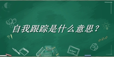 自我跟踪来源于哪里？有什么含义吗？-老茶馆万事