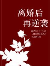 《离婚后再逆袭》小说介绍-老茶馆万事